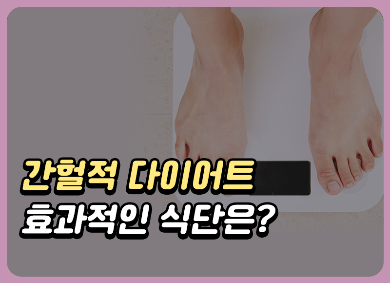 간헐적 다이어트 식단