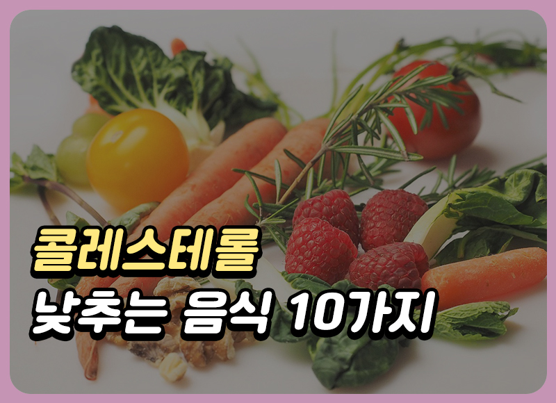 콜레스테롤 수치 낮추는 음식 10가지