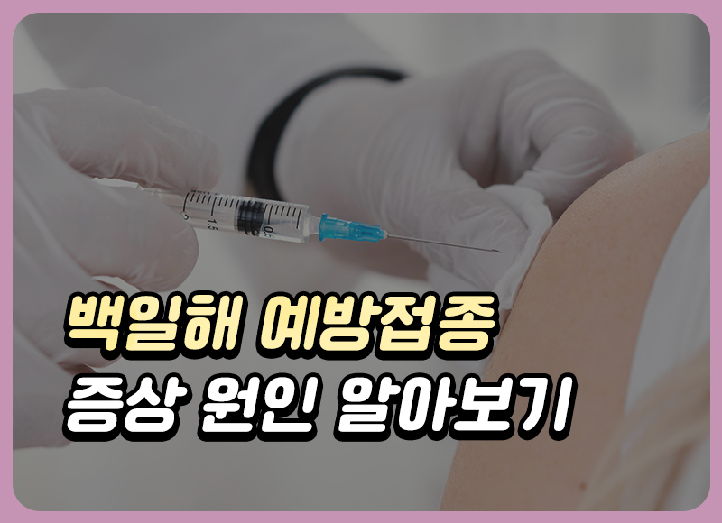 백일해 증상(잠복기, 초기, 원인, 특징) 성인 백일해 예방접종